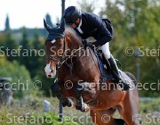 Del Covillo Quintilianus GioCav2013 S5 3296 : Campionati Italiani Giovani Cavalli, Cattolica, Del Covillo Fabio, Quintilianus, ph Stefano Secchi ©